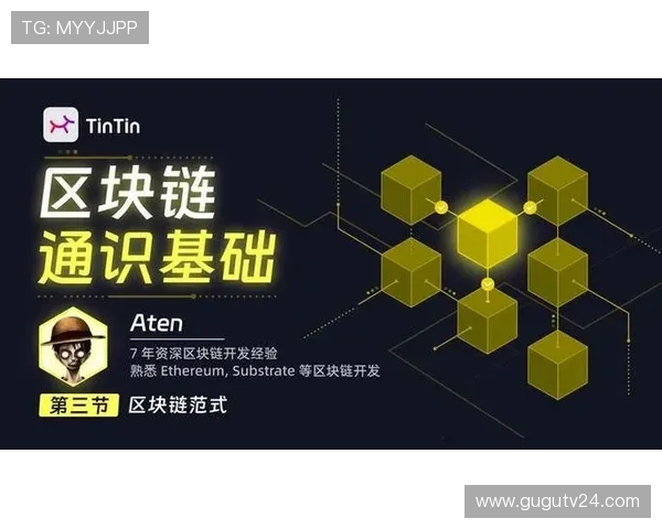 ob视讯平台未来发展趋势，探索新技术引领视频交流新方向